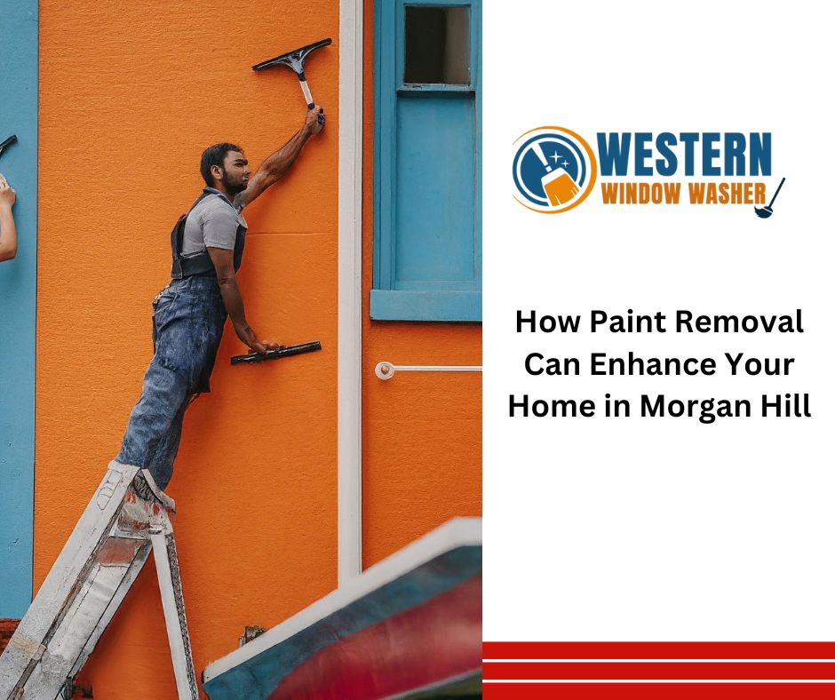 Paint Removal in Morgan Hill CA
